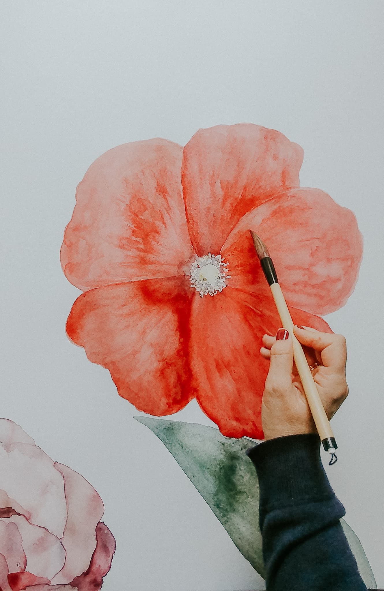 media/com_crc/members/1819/images/Madder_flower_watercolor_painting_Adelinejuliebee.jpg