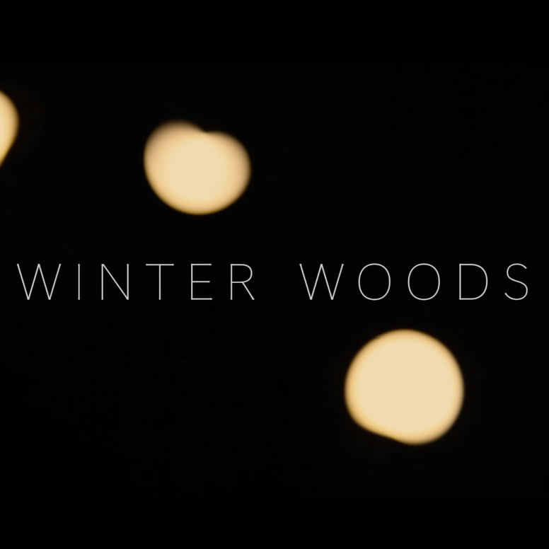 Winter Woods